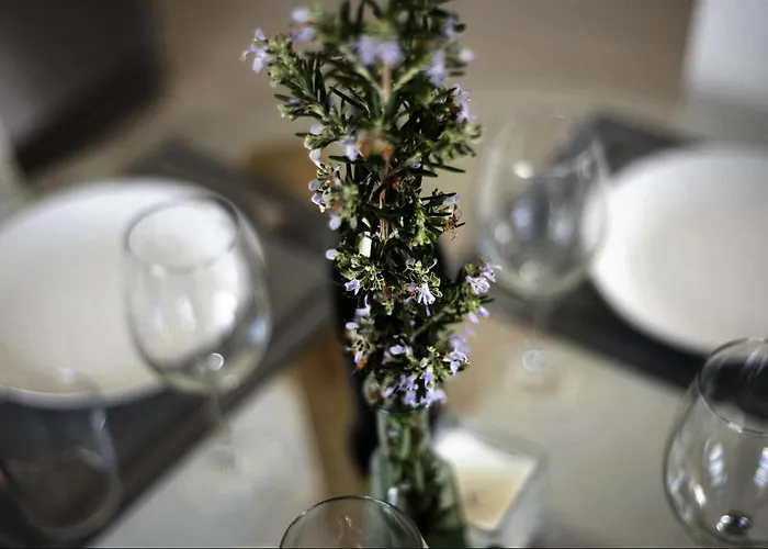 Atico Auditorio Centro 라오로타바