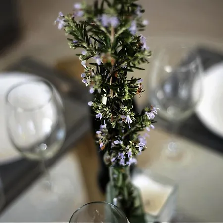 Atico Auditorio Centro 拉奥罗塔瓦